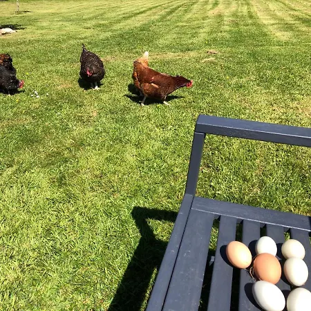 Red River Stables - Peaceful, Beautiful Grounds, Swimming Pool, Location For West Cornwall * Camborne