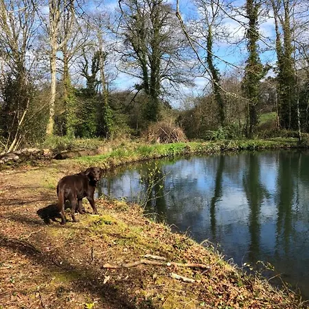Red River Stables - Peaceful, Beautiful Grounds, Swimming Pool, Location For West Cornwall Ferienpark