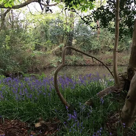 Red River Stables - Peaceful, Beautiful Grounds, Swimming Pool, Location For West Cornwall Ferienpark *