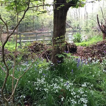 Ferienpark Red River Stables - Peaceful, Beautiful Grounds, Swimming Pool, Location For West Cornwall